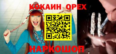 крисы Моздок