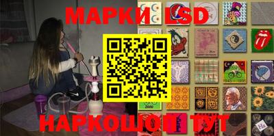 крисы Моздок