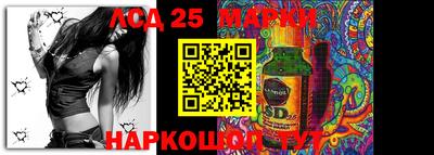 крисы Моздок