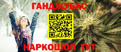 крисы Моздок