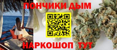 крисы Моздок