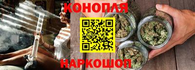 крисы Моздок