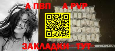 крисы Моздок