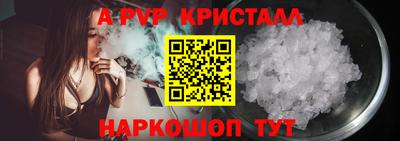 крисы Моздок