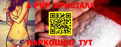 крисы Моздок