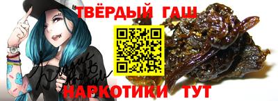 крисы Моздок
