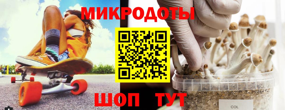 Галлюциногенные грибы Cubensis  Вход с VPN  Тимашёвск 